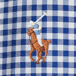 Blauw/wit gingham