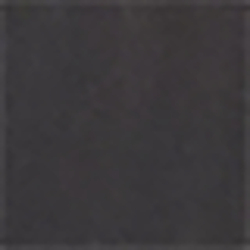Polo Black Multi