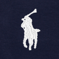 French Navy