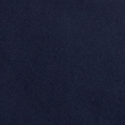 Bright Navy