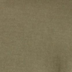 Verteidiger-Gr&uuml;n