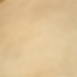 Natural Brass/Crystal