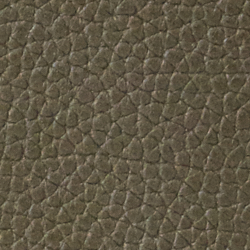 Deep Olive