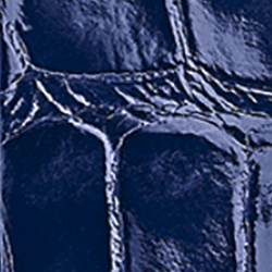 Azul-marinho brilhante