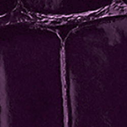 Purple Label #429218