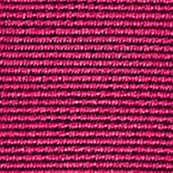 Fuchsia #238156