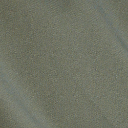 Fossil Green