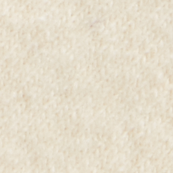 Ourson crème