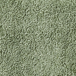 Solid Sage Green