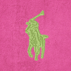 Framboesa