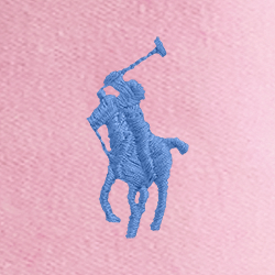 Rosa camel