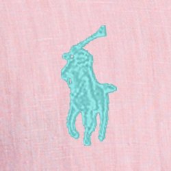 Rosa camel