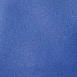 Bleu moyen