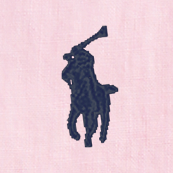 Rosa-carmel