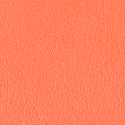 Portside Coral