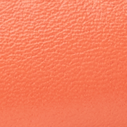 Portside Coral