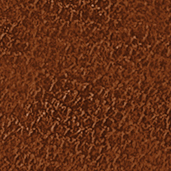 Burnished Tan