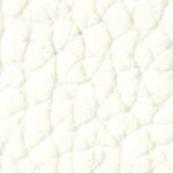 Vanilla