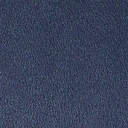 French Navy