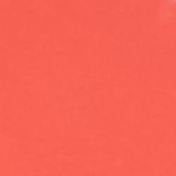 Portside Coral