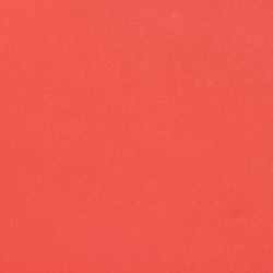 Corail bâbord