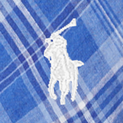 Blanc/Écossais royal