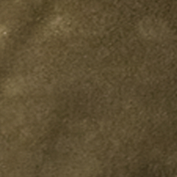 Olive Sahara