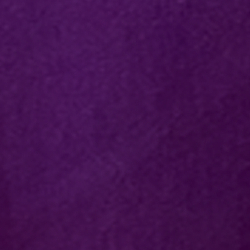 Bright Purple