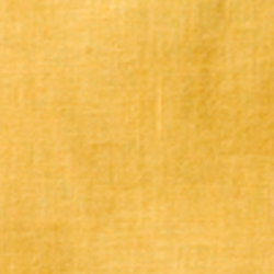 Slicker Yellow