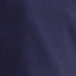 Refined Navy