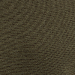 Canopy Olive