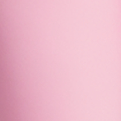 Pink Flamingo