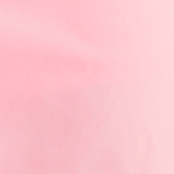 Pink Flamingo
