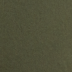 Fossil Green