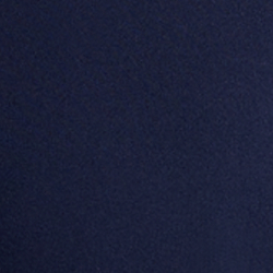 Refined Navy