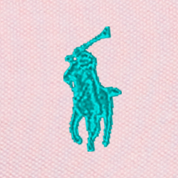 Rosa camel