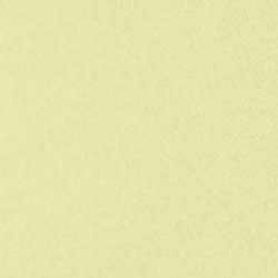 Bristol Yellow