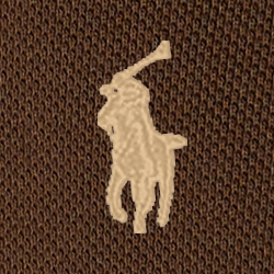 American Brown/C8645