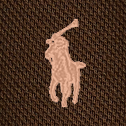 Castanho-seco