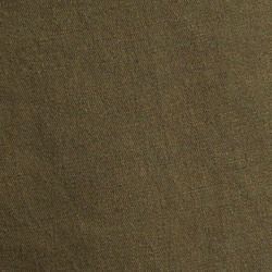 Canopy Olive