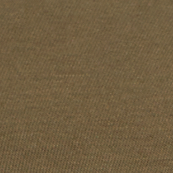 Canopy Olive
