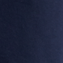 Azul-marinho Bright