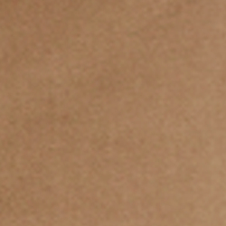Dispatch Tan