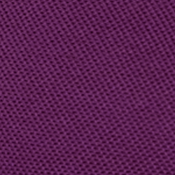 Violet Voyager