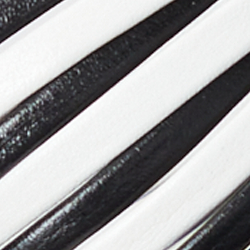 Black/Snow White