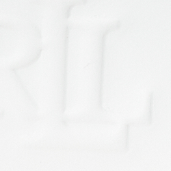 Snow White/Palm Leaf