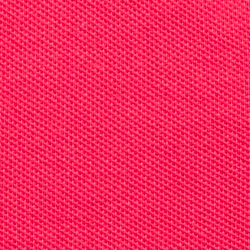 Vibrant Pink