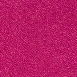 Fuschia Berry