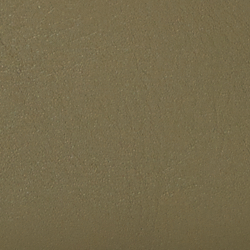 Fougère olive