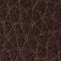 Chestnut Brown